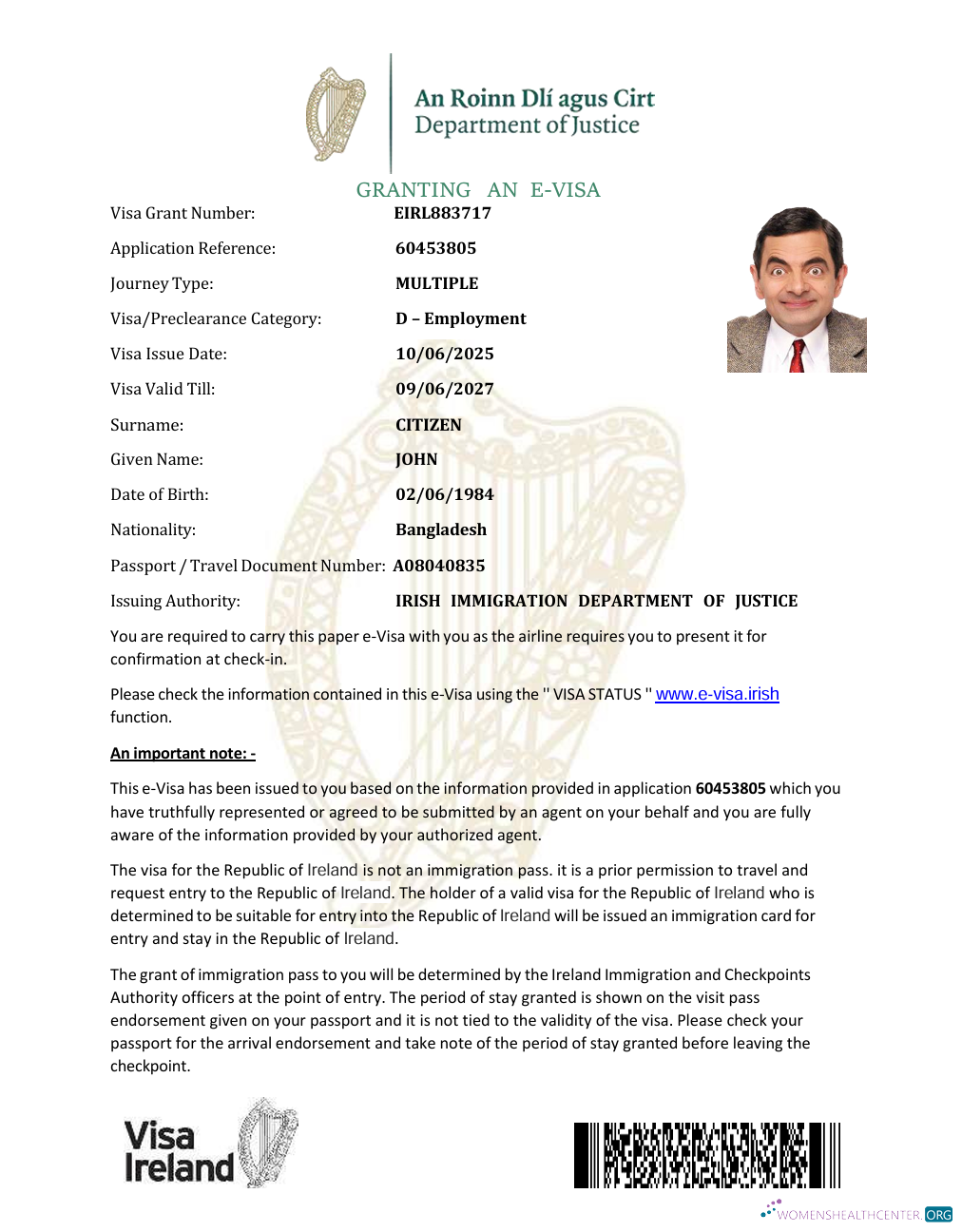 Download Ireland e visa template in Word and PDF formats Photoshop template